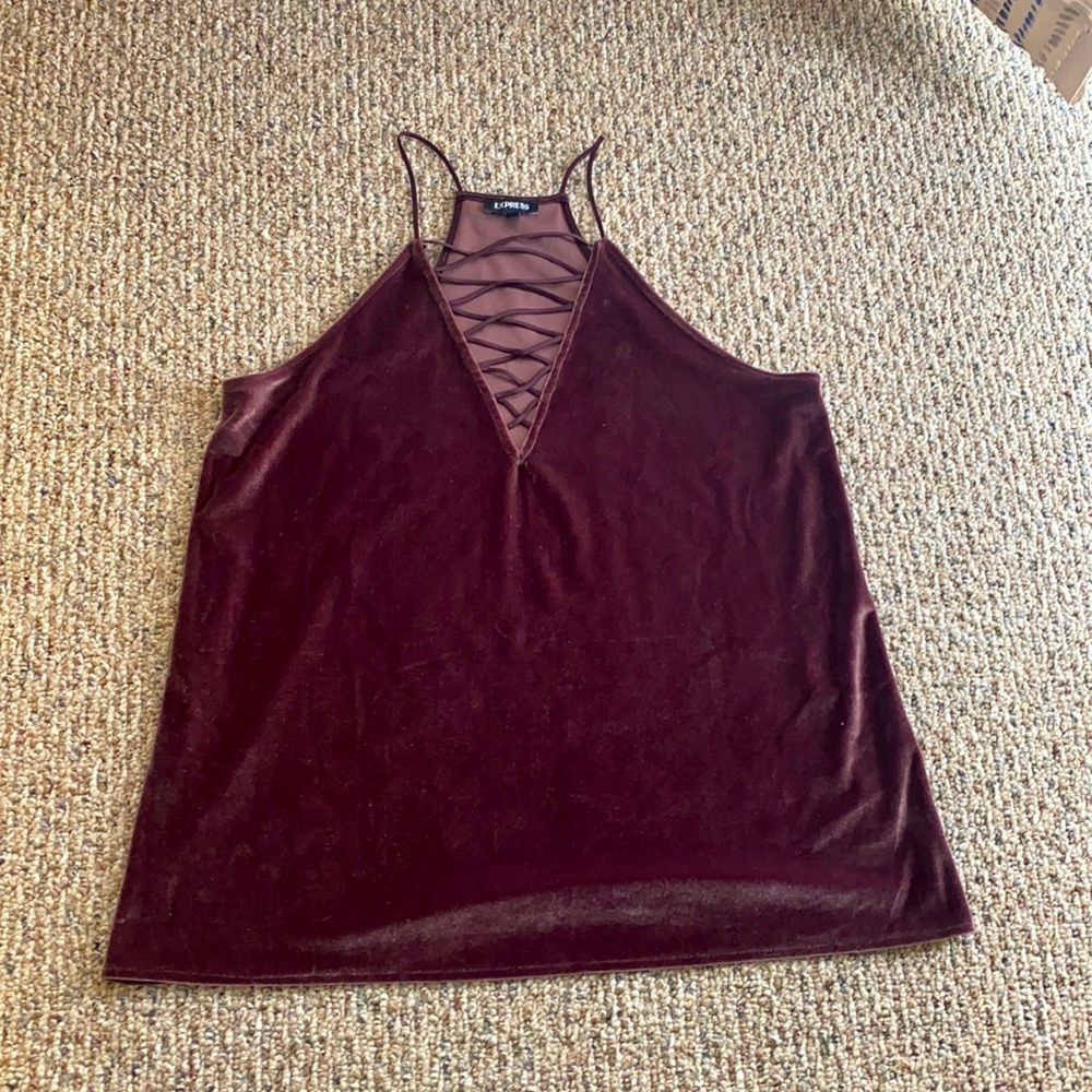 Express size large velvet top